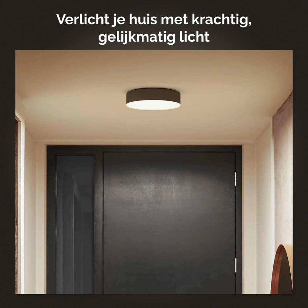 Plafonnier Hue Enrave S - White Ambiance Ø 26,1 cm noir Philips 8718696176429