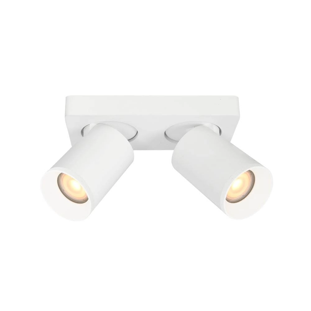 Plafonnier Mega 2 lumières blanches