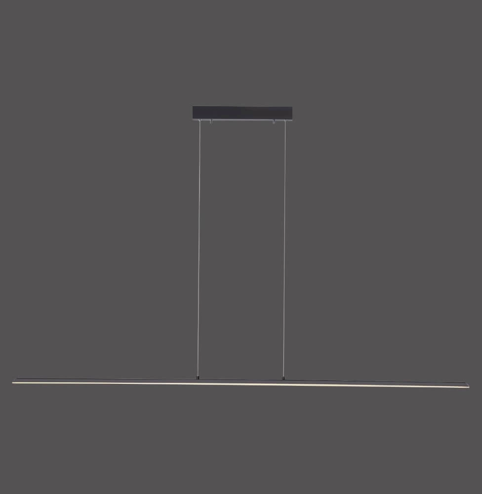 Lampe suspendue design Pure Lite 160 cm anthracite Paul Neuhaus 4012248344897