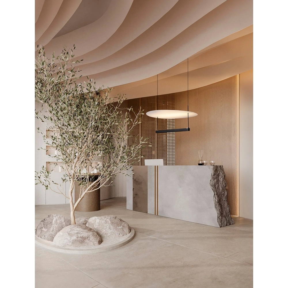 Suspension Diona Ø 60cm noir avec blanc 2700K Lyora 5212017470867