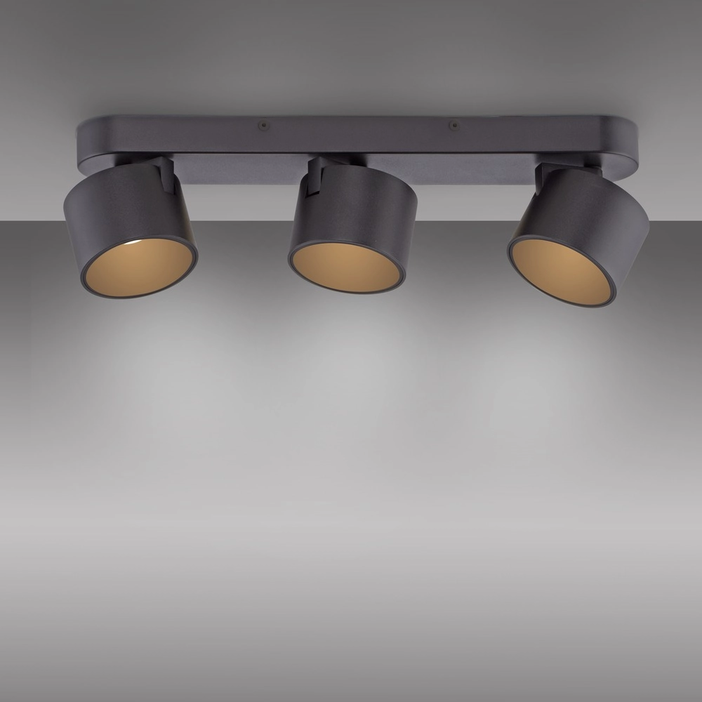 Projecteur à LED 3L monté en surface Pure Cup Black Pearl Paul Neuhaus 4012248395615