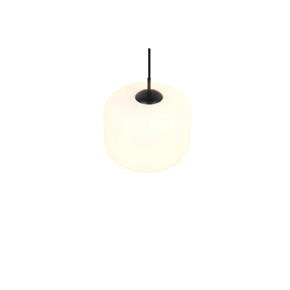 Lampe suspendue Signe blanc Ø 25cm Trio 4017807686739