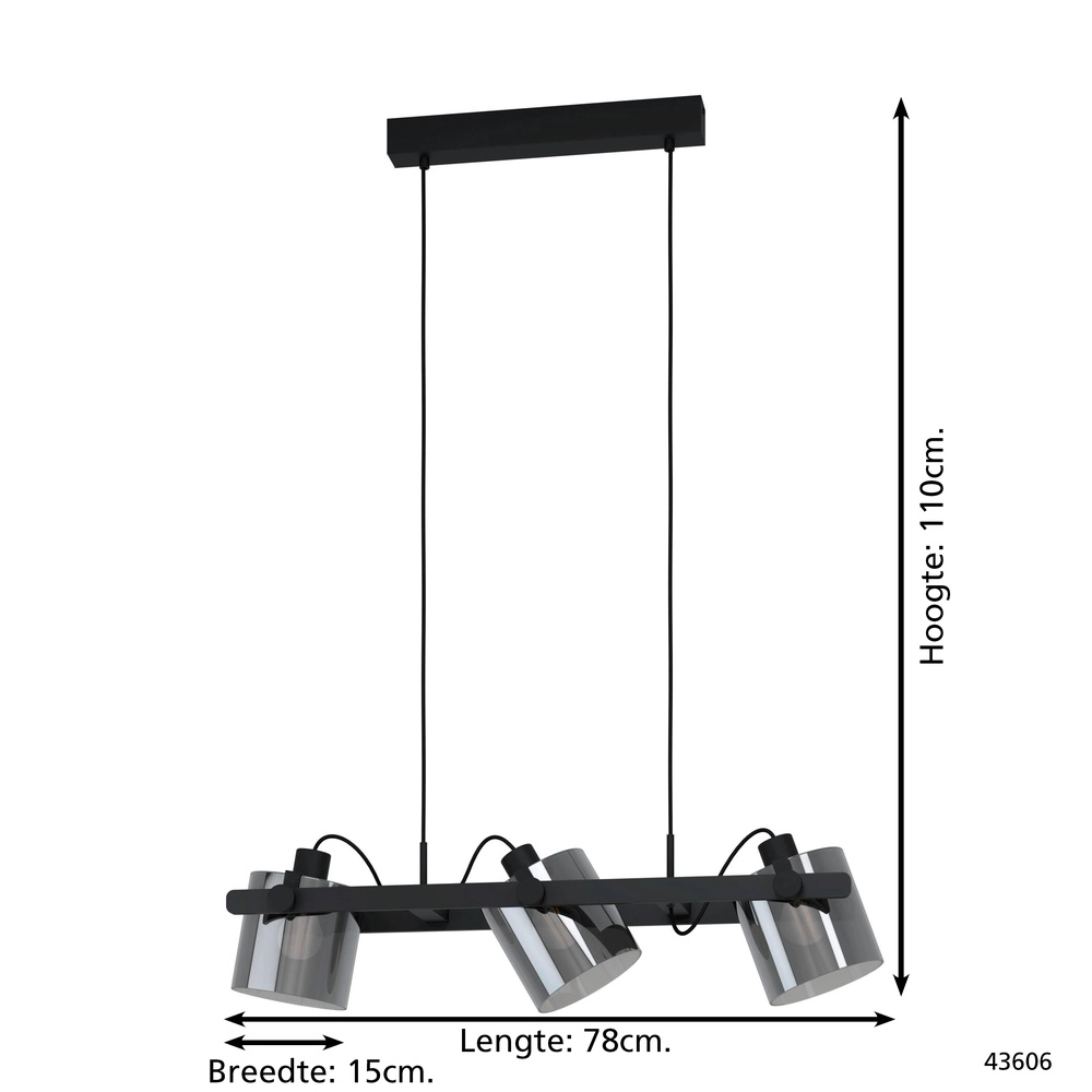 Suspension de 3L Hornwood 2 noir avec verre fumé Eglo 9002759436063