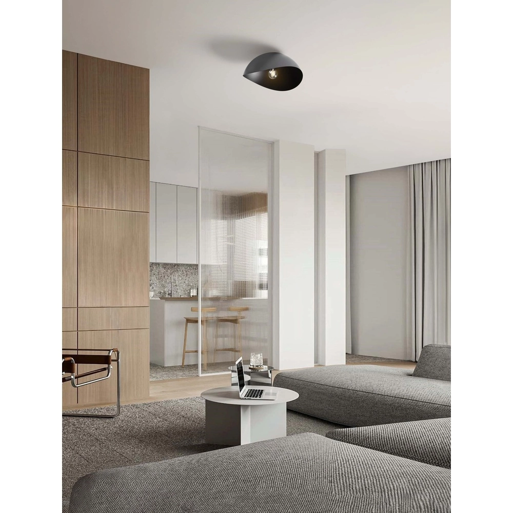 Plafonnier Opsi noir Ø 40cm Lyora 5212017458049