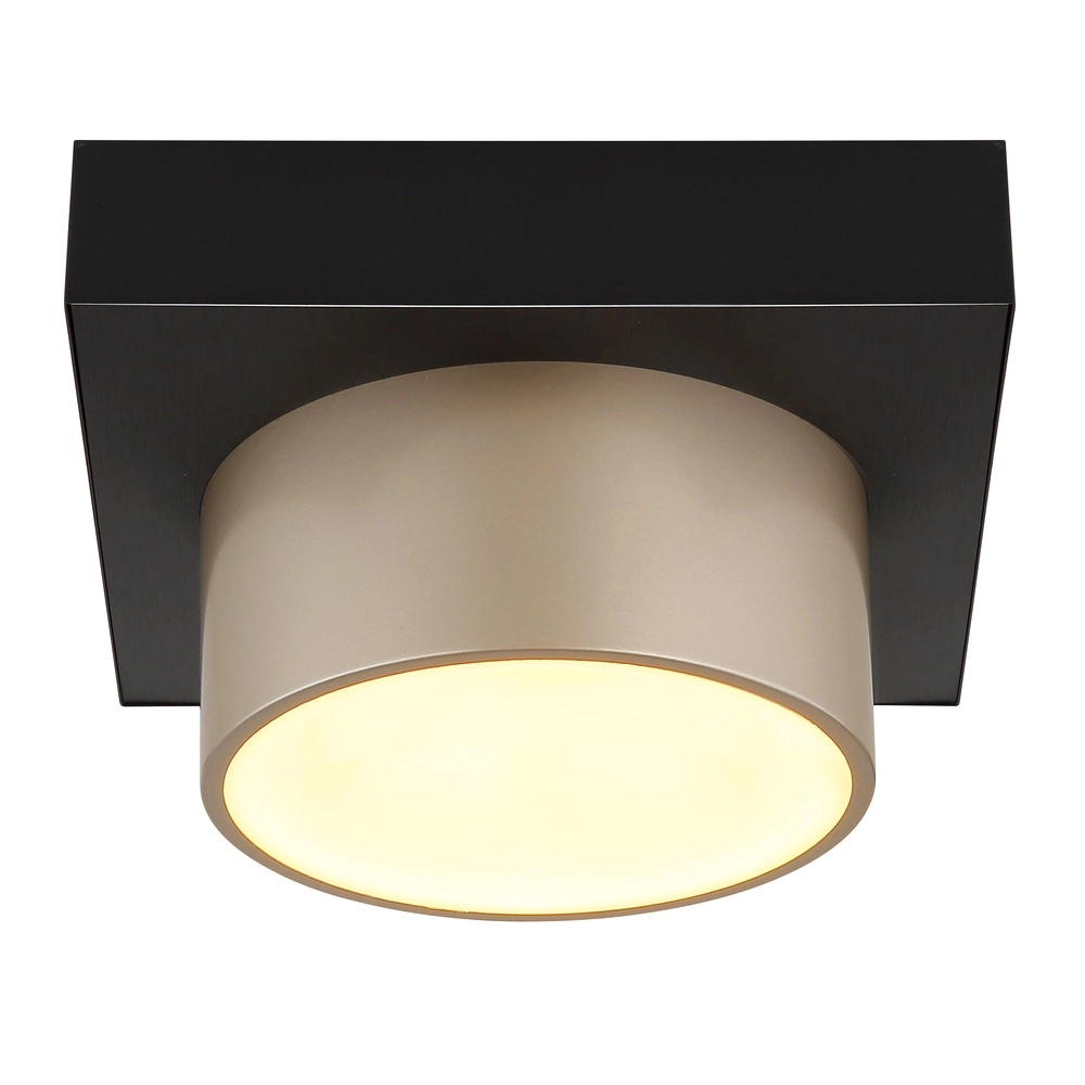 Lampe de plafond Raymond noir avec du champagne Globo 9007371569373