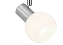 Spot rail 2 phases Duoline gris avec verre Trio 4017807471663