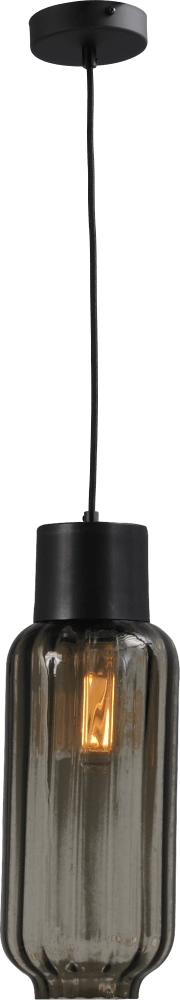 Lampe à suspension Lett ll avec verre fumé Masterlight 8718121181233