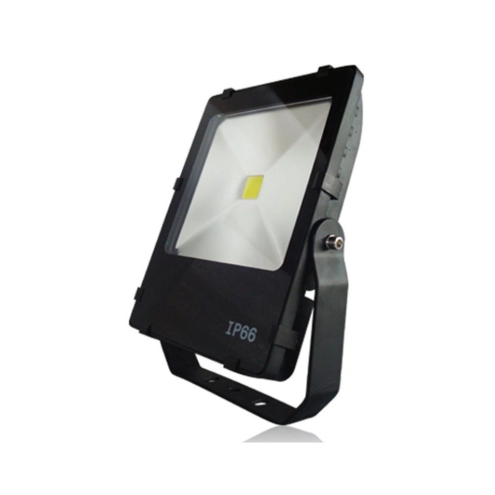 Spot LED Floodlight