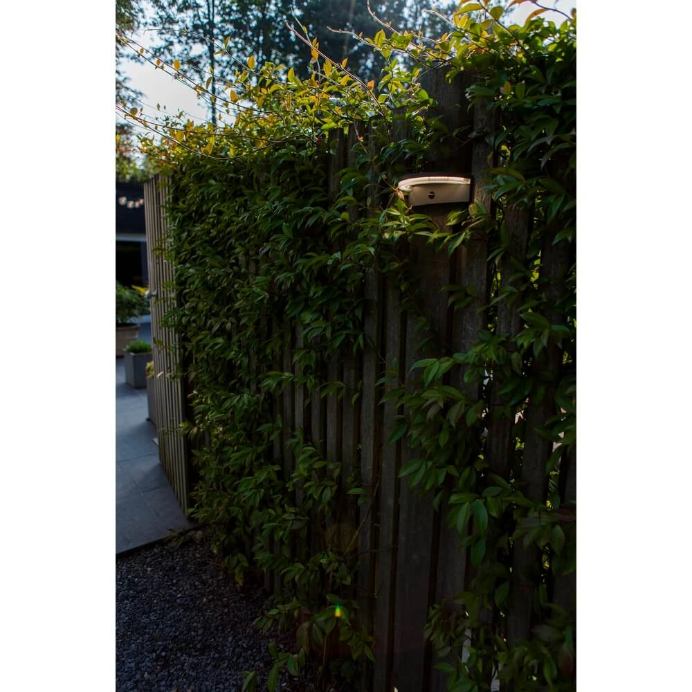 Lampe à capteur extérieur Vyzor Énergie solaire Lutec 6939412016320