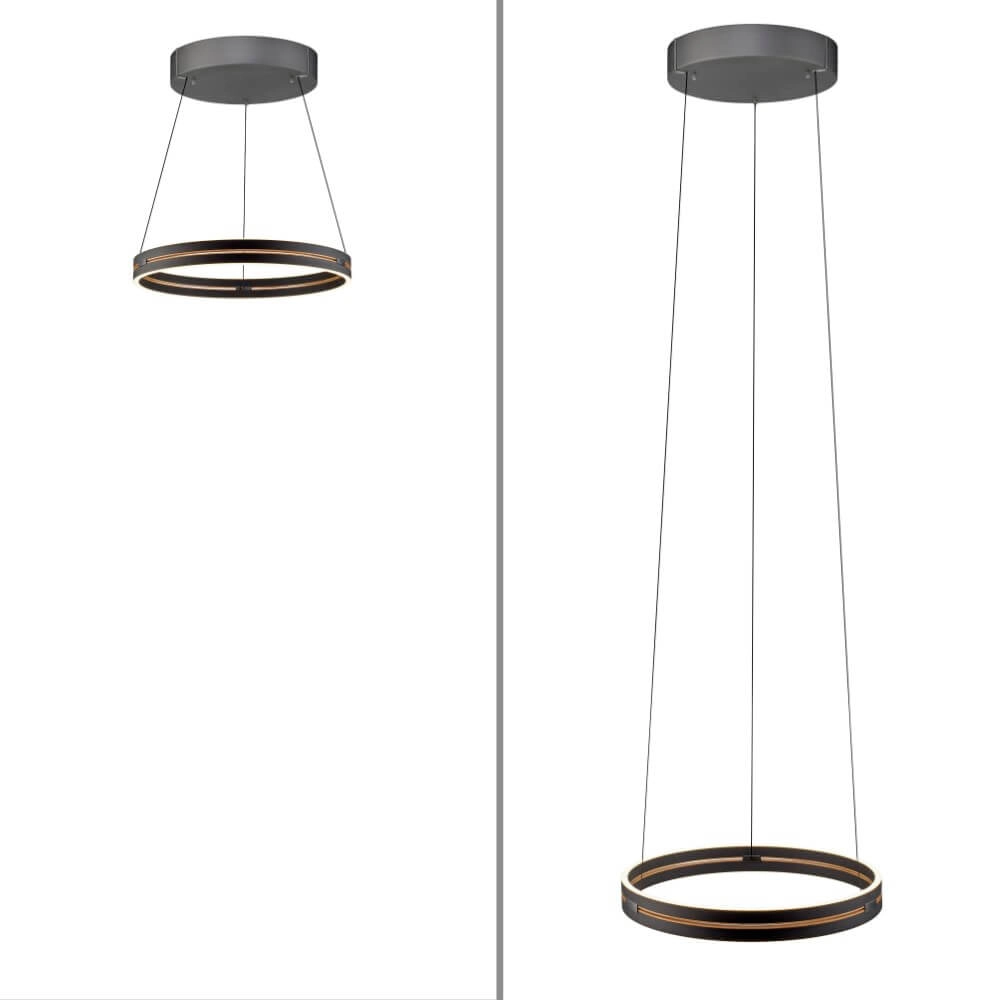 Lampe suspendue élégante Pure E-Loop black Paul Neuhaus 4012248386224