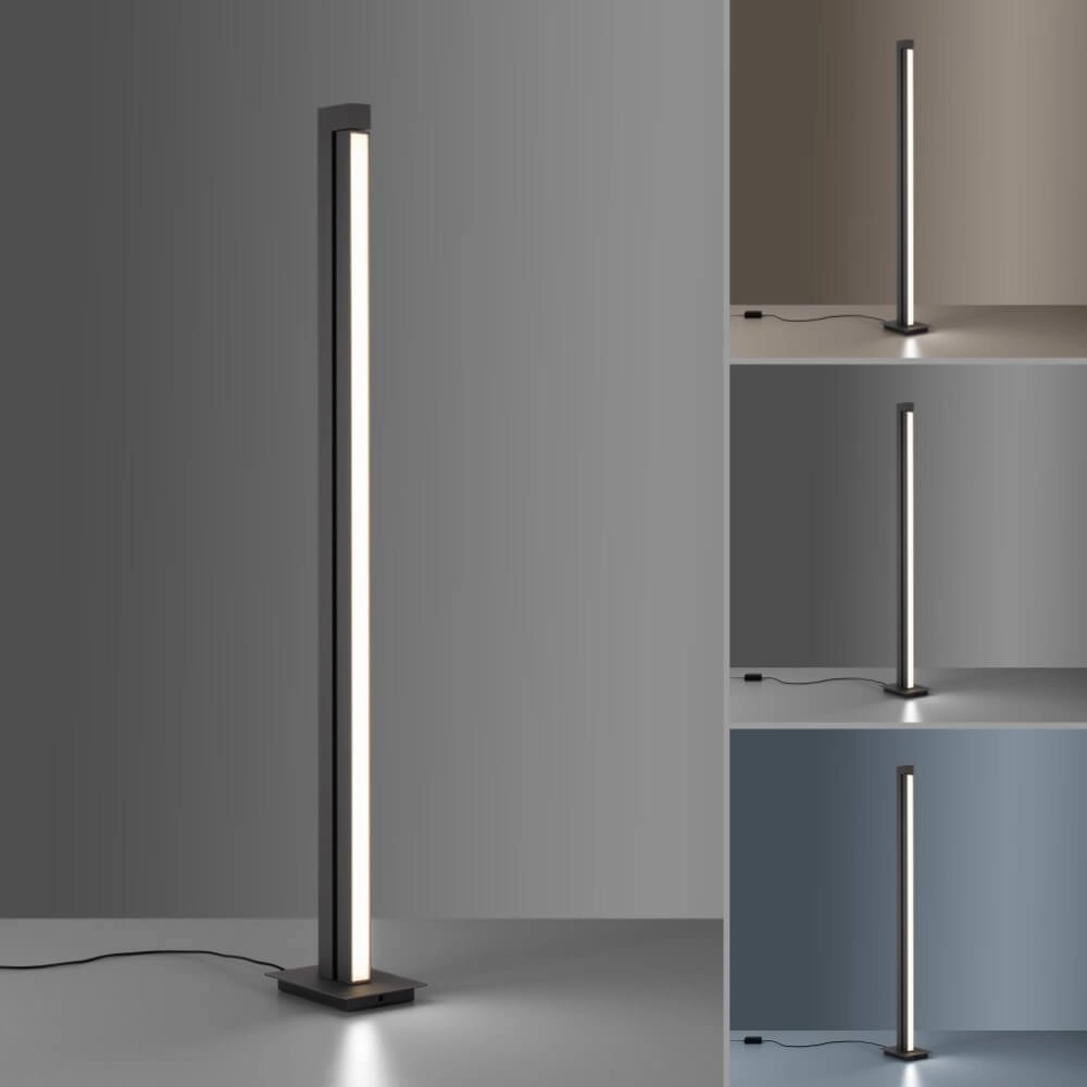 Lampadaire Pure-Lines anthracite Paul Neuhaus 4012248366325