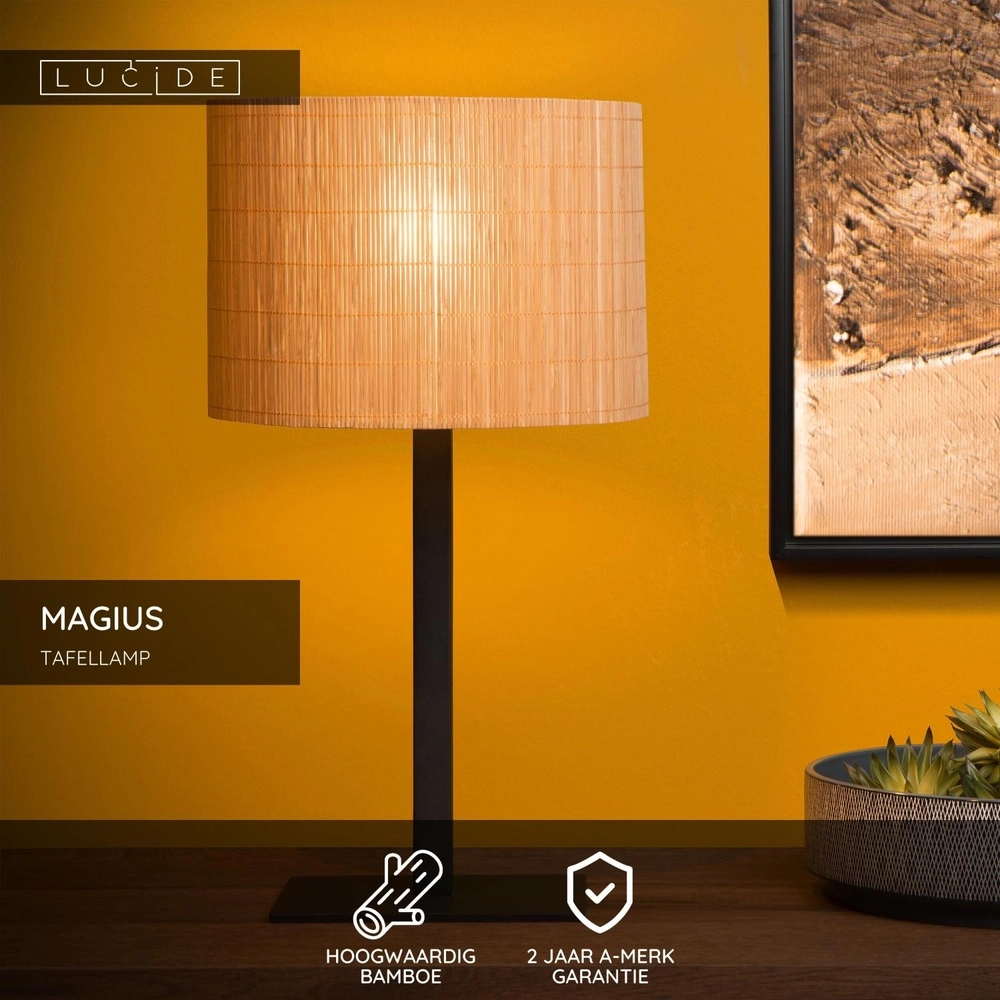 Lampe de table Magius Rotin Lucide 5411212031280
