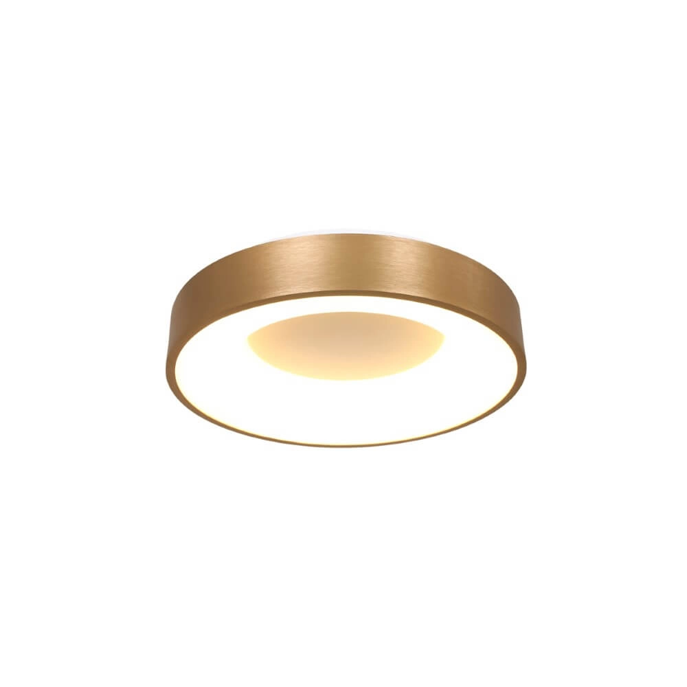 Plafonnier LED Ringlede Ø 30 cm
