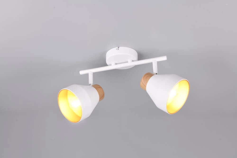 Plafonnier design 2 lumières Valentin blanc Trio 4017807637427