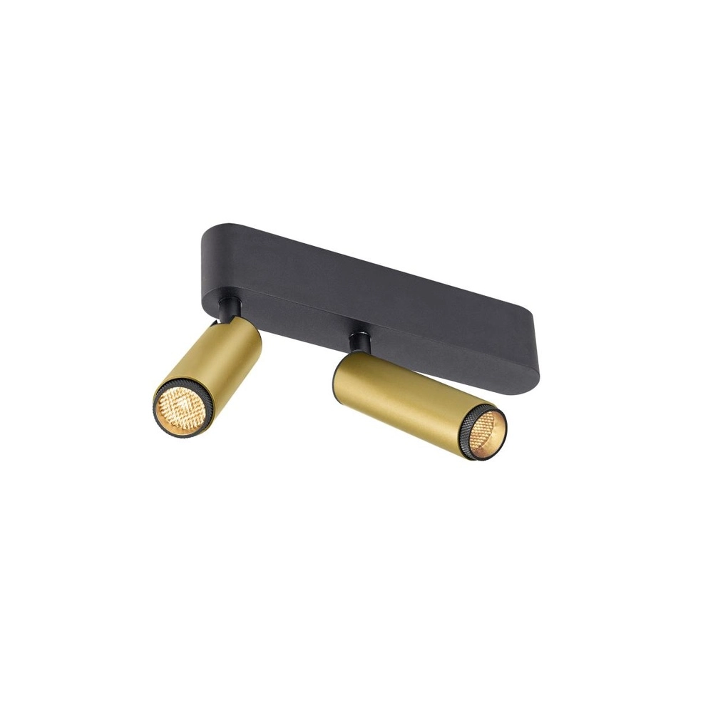 Spot monté en surface Grip! S Or 2 lumières 2700K