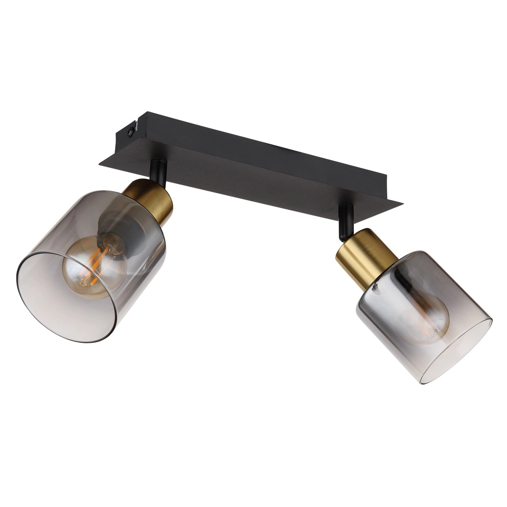 Lampe de plafond à deux lumières Hollsy noir avec verre fumé Globo 9007371445851