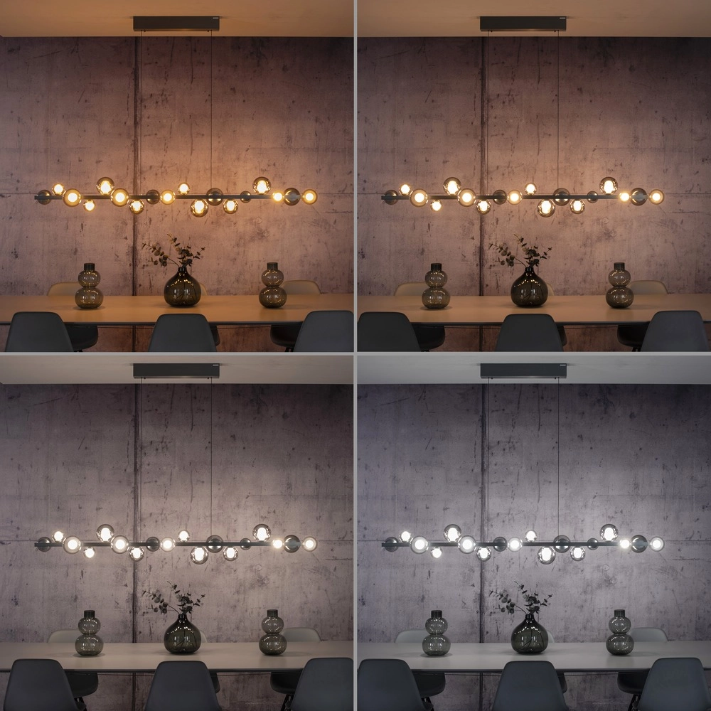 Lampe pendante de table à manger Pure E-Popup 18L - avec verre fumé Paul Neuhaus 4012248396452