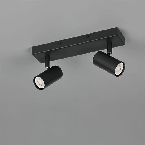 Emplacement monté en surface Taryn 2-noir clair Trio 4017807685558