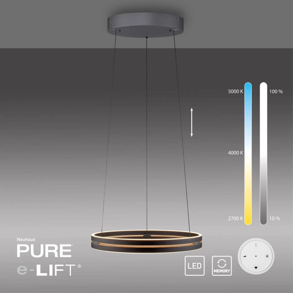 Lampe suspendue élégante Pure E-Loop black Paul Neuhaus 4012248386224