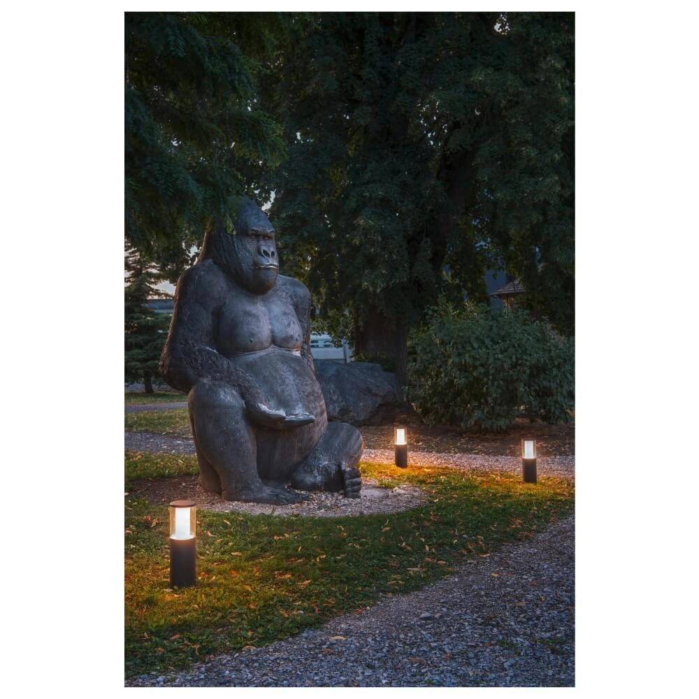 M-Pol Head M 2700K/3000K SLV 4024163266567