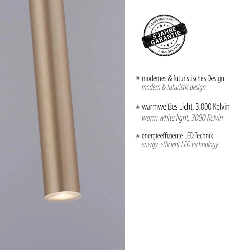 Lampe suspendue unique Flute 1 lumière en laiton Paul Neuhaus 4012248374740