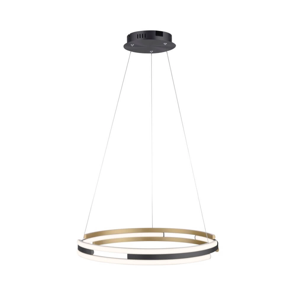 Lampe suspendue design Q-Beluga 60 cm Paul Neuhaus 4012248374641