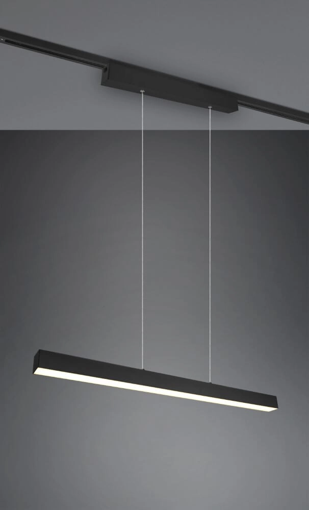 Lampe suspendue Paros noir Trio 4017807505948
