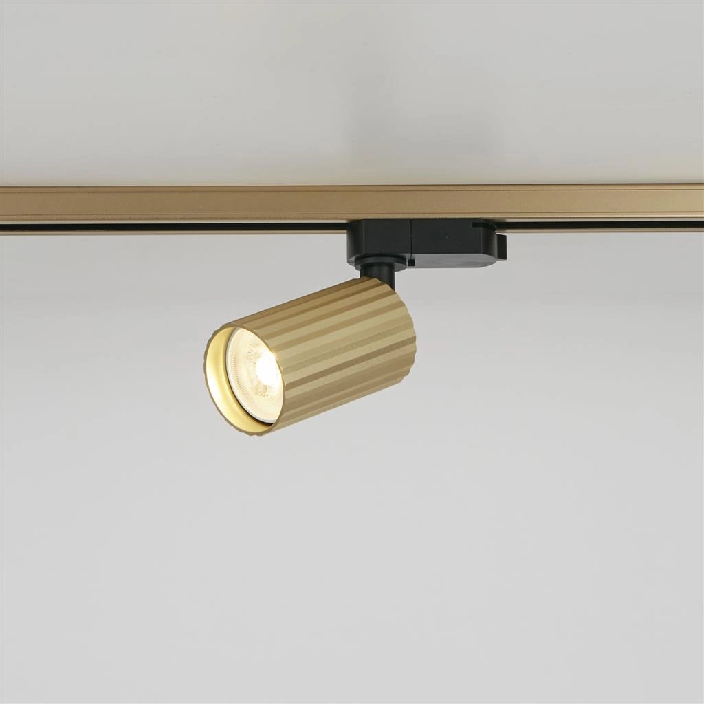 Spot ferroviaire Anna TraQ Or Spot ferroviaire Anna TraQ Or