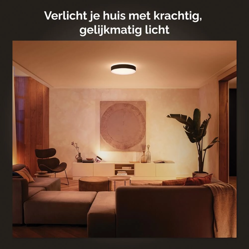Plafonnier Hue Enrave L - White Ambiance Ø 42,5 cm noir Philips 8718696176467
