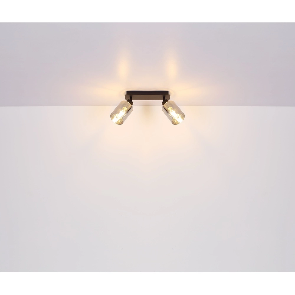 Lampe de plafond Hadera Noir à deux lumières avec verre fumé Globo 9007371440214