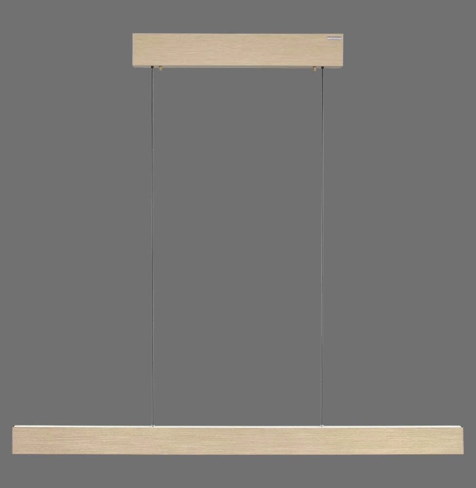 Lampe suspendue design Pure E-Motion laiton Paul Neuhaus 4012248372913