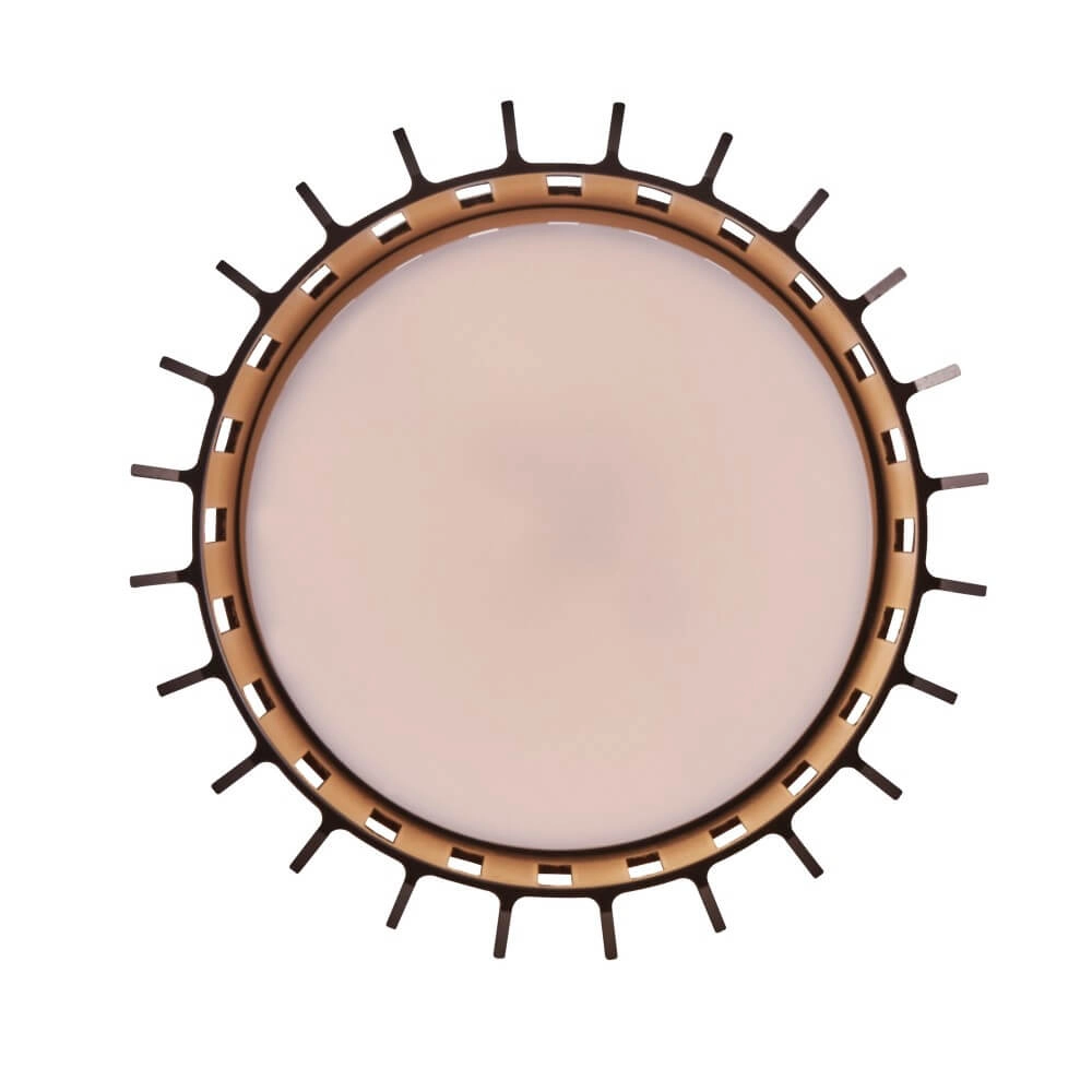 Plafonnier extérieur Aludra IP54 - marron métallisé Nordlux 5704924022012