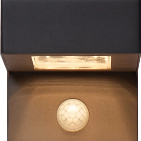 Applique solaire Baracconi avec capteur Eglo 9008606230006