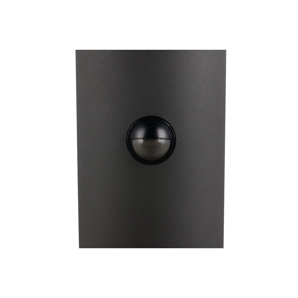 Lampe de jardin Tagus anthracite 100 cm avec capteur Trio 4017807686869