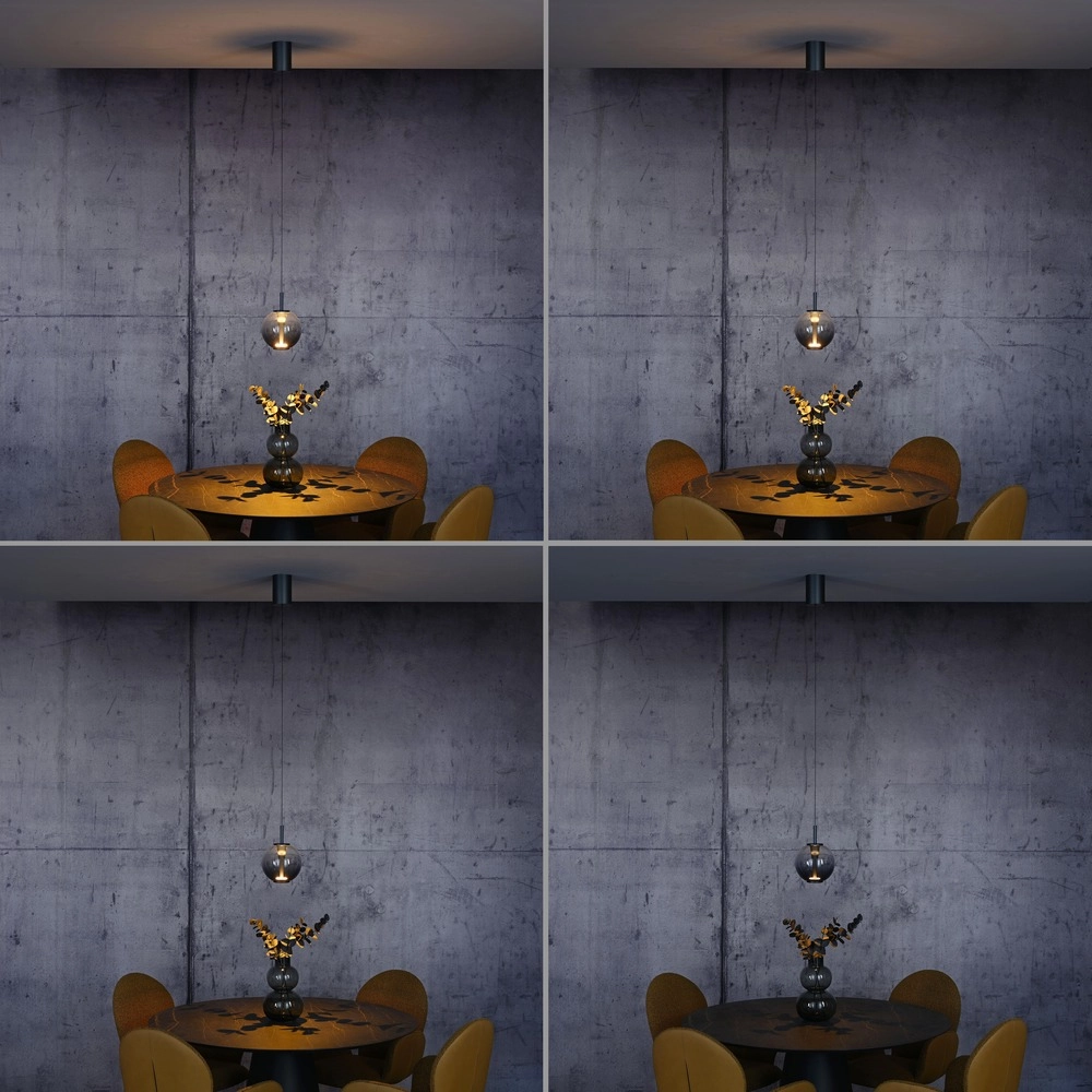 Suspension LED Pure Infinity avec verre fumé - Ø 18cm Paul Neuhaus 4012248399033