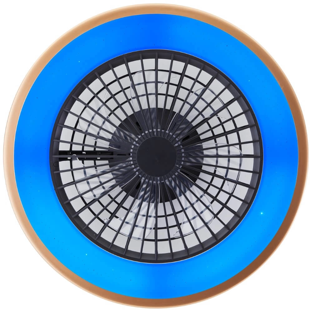 Éventail noir Slimline avec bord doré Brilliant 4004353435874