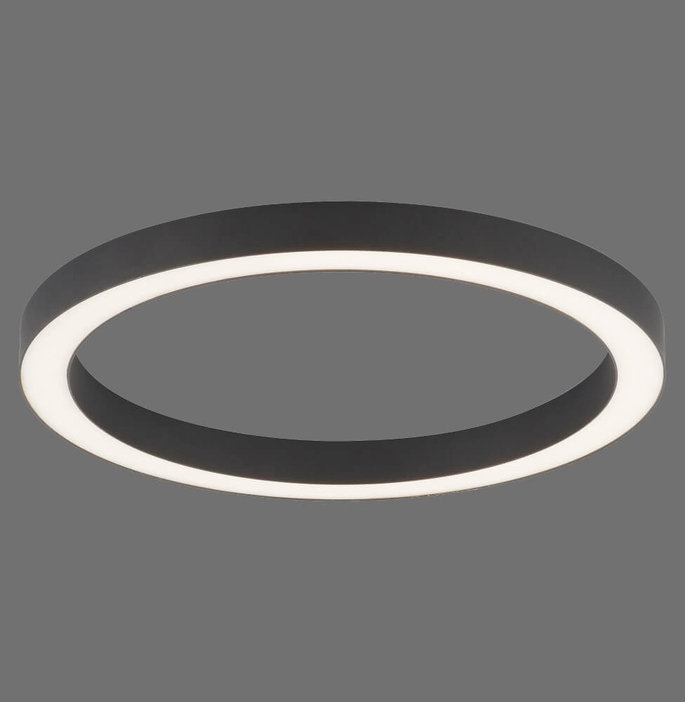 Lampadaire rond Pure Lines Round Ø 50 cm anthracite Paul Neuhaus 4012248375853