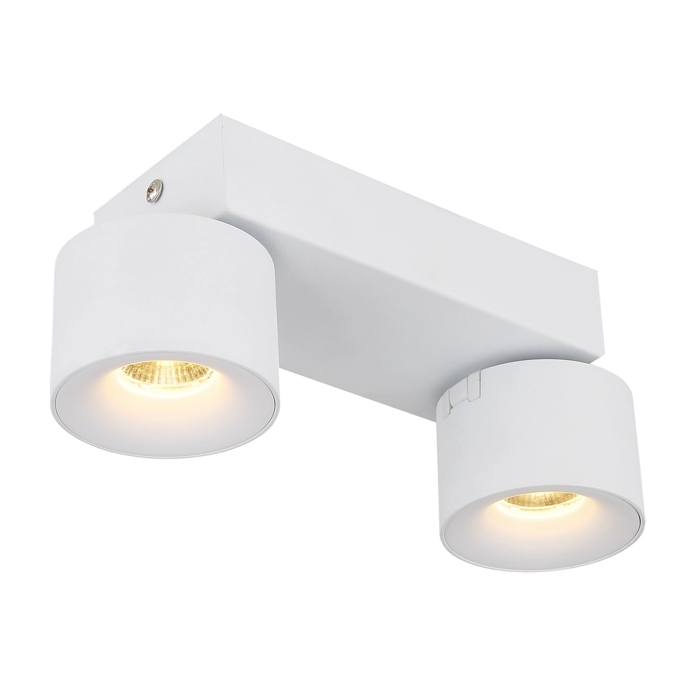 Lampe de plafond élégante Rae Blanc à deux lumières Globo 9007371450640