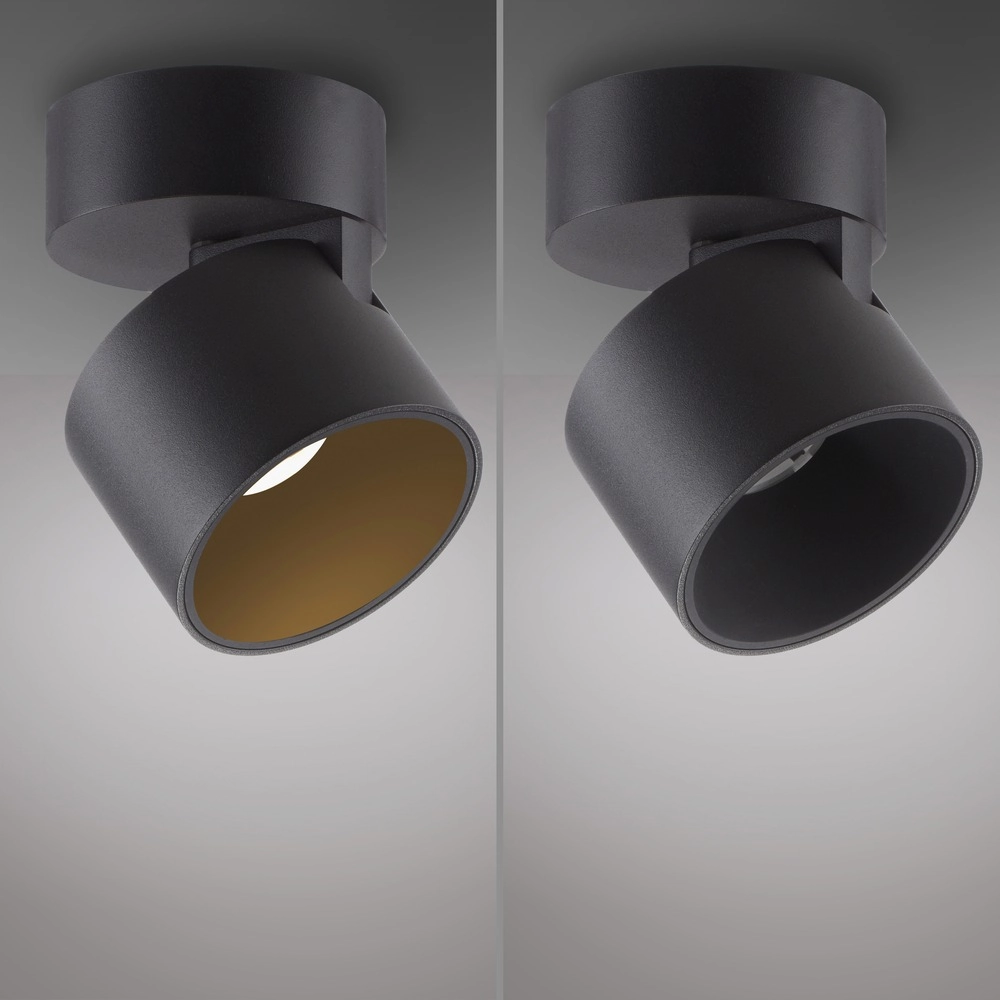 Spot lisse monté en surface Pure Cup Black Pearl Paul Neuhaus 4012248395585