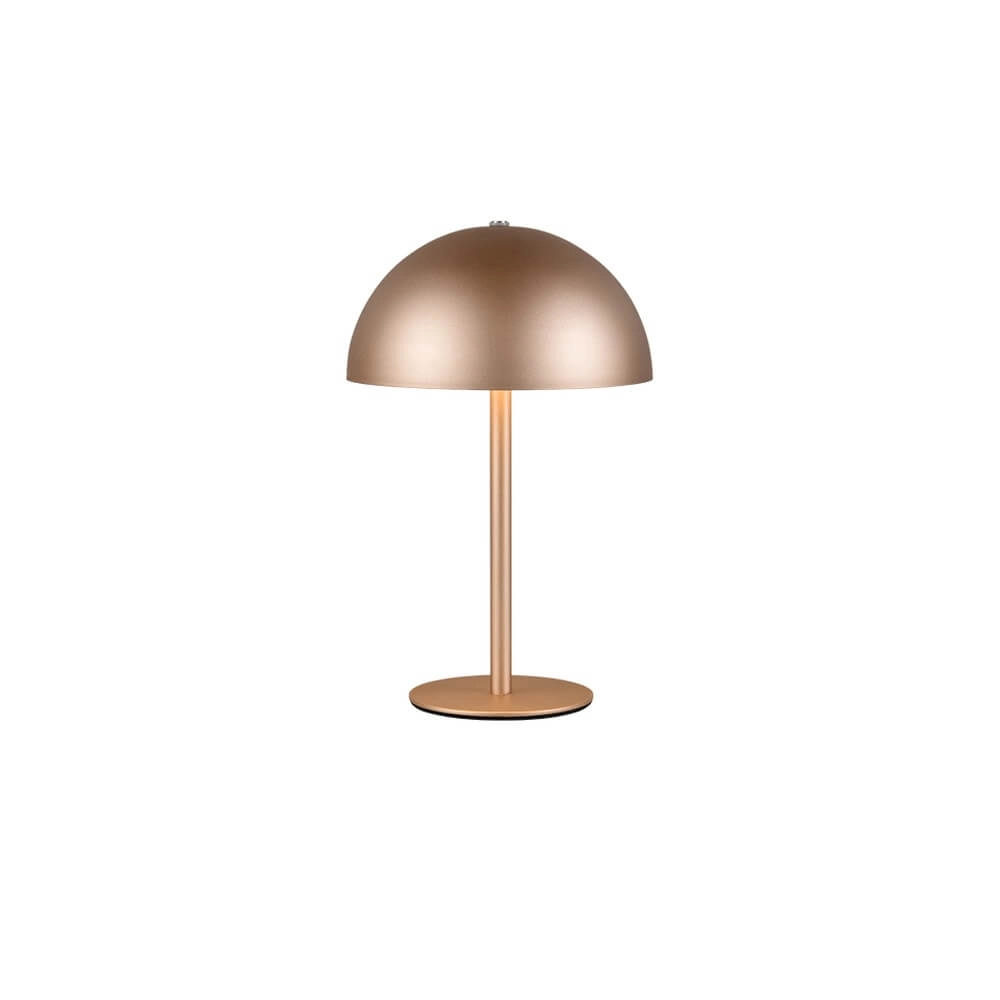 Lampe de table Munoz marron café Ø 13cm Trio 4017807642537