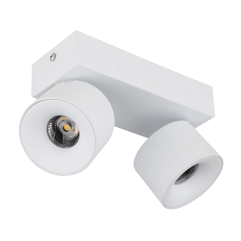 Lampe de plafond élégante Rae Blanc à deux lumières Globo 9007371450640