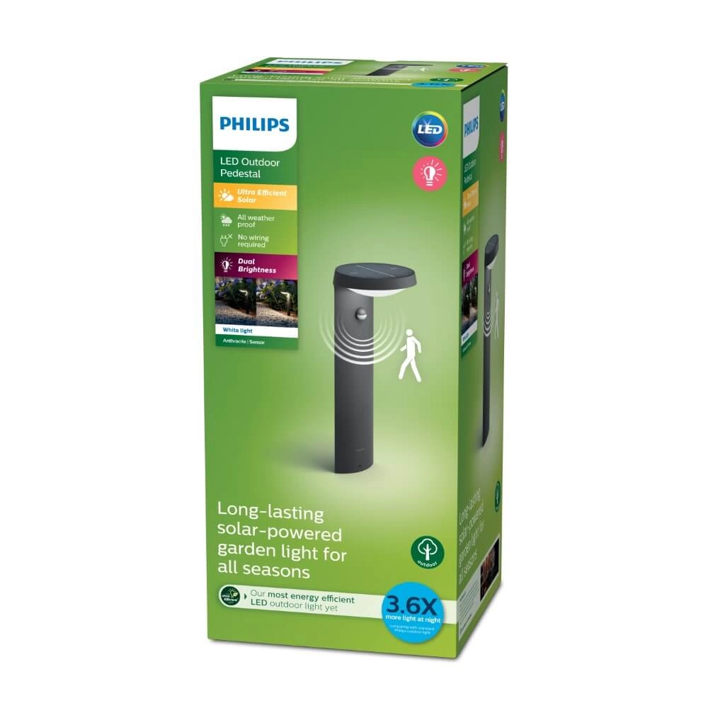 Lanthane Rosemarie anthracite solaire Philips 8719514476936