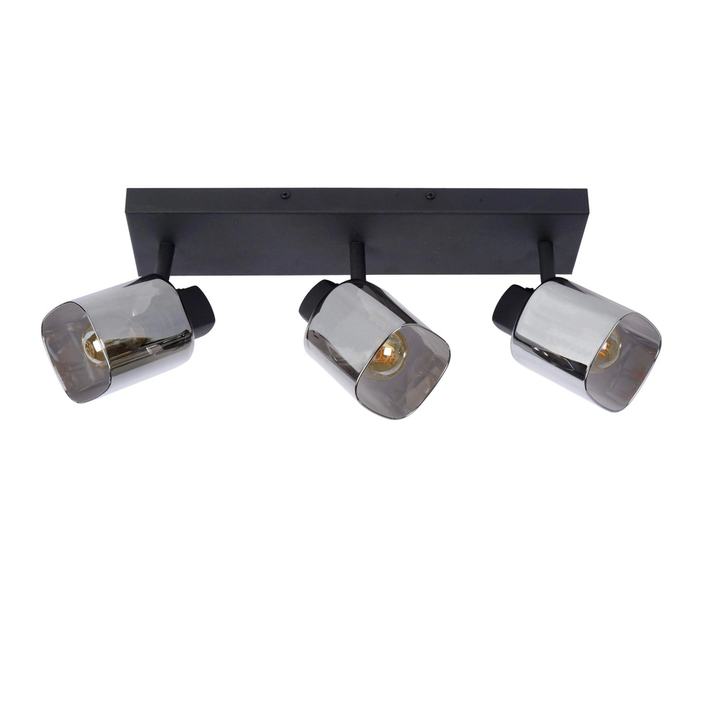 Lampe de plafond Alion Noir à 3 lumières avec verre fumé