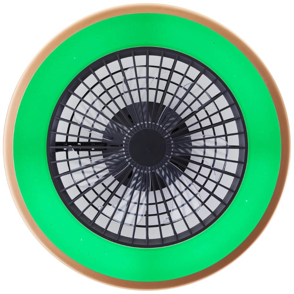 Éventail noir Slimline avec bord doré Brilliant 4004353435874