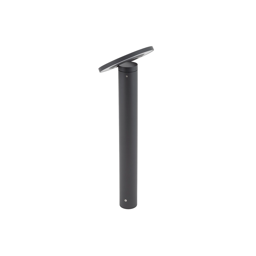 Lampe de jardin Axion Led gris Lyora 5903139119382
