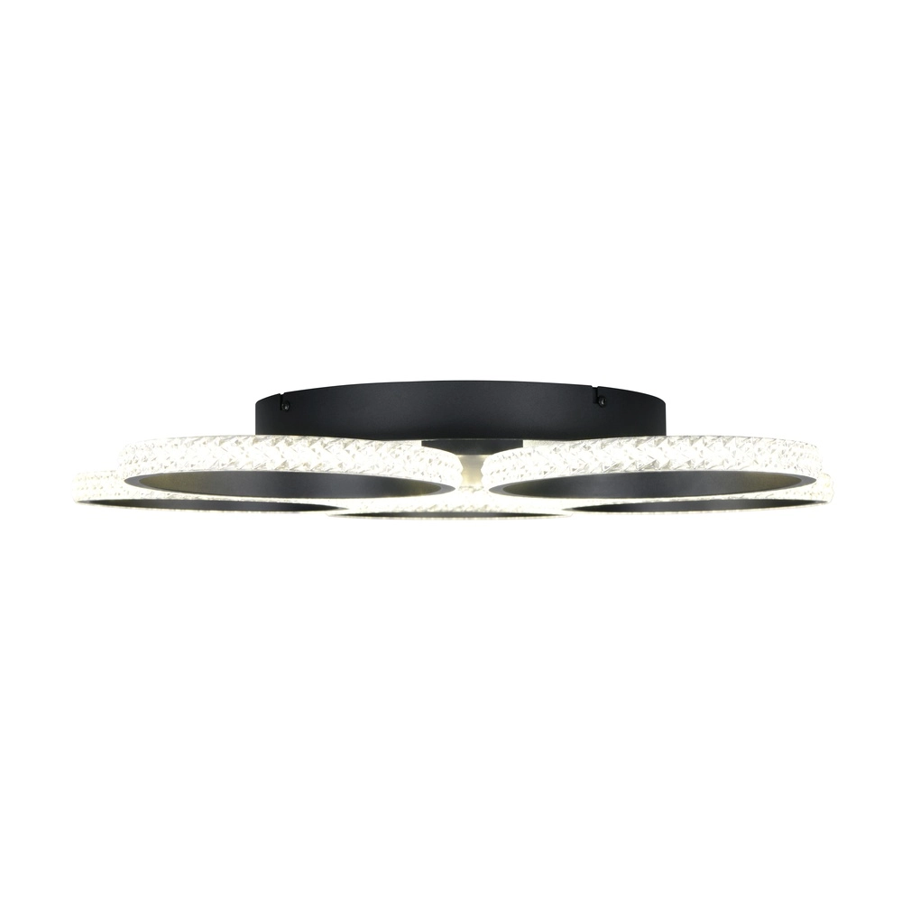 Lampe de plafond Lumer Noir Trio 4017807706390