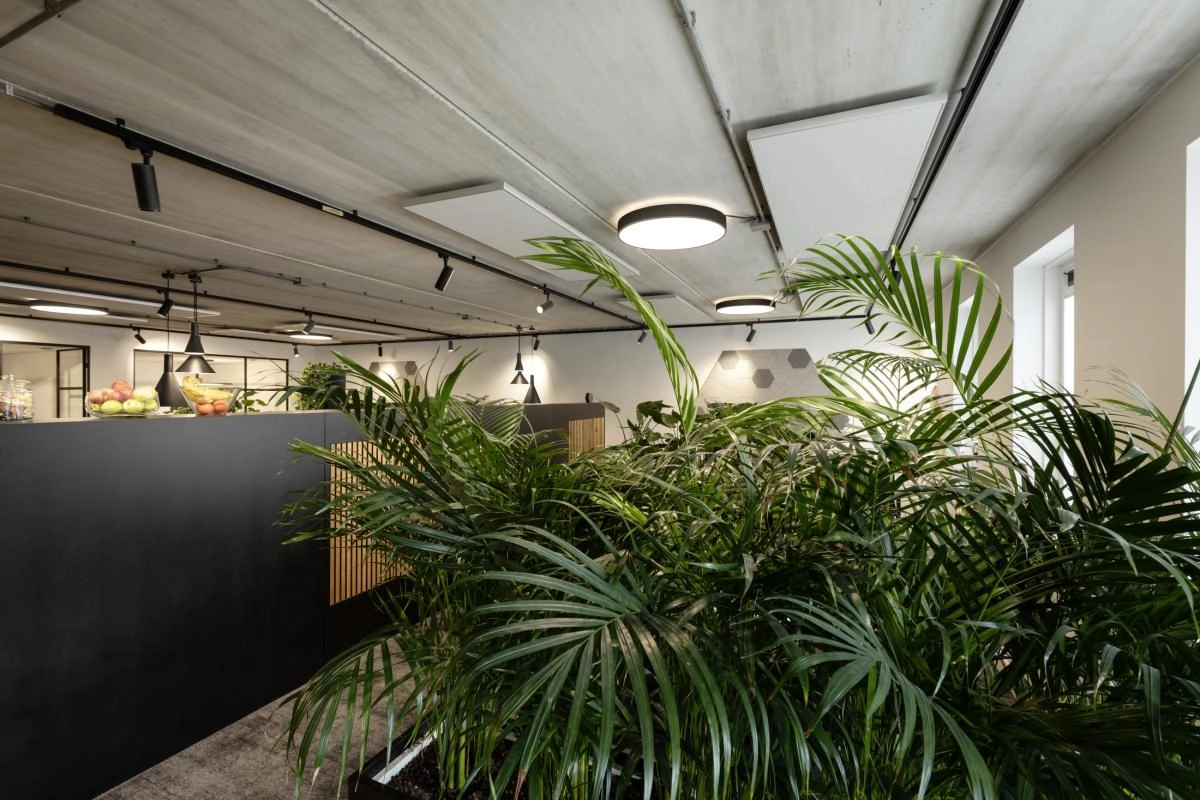 Railspot 3-phasé Numinos M Dali noir 3000K - 36 deg SLV 4024163246170