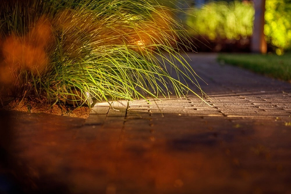 Tache de crapaud Tiga noir Lightpro 8719979282110