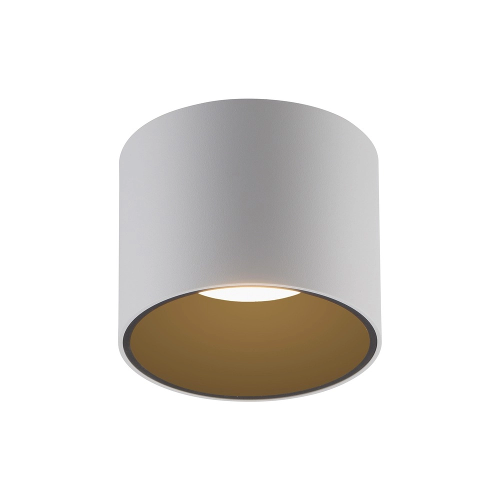 Emplacement monté en surface au plafond Pure Point Ø 11cm - blanc Paul Neuhaus 4012248395639