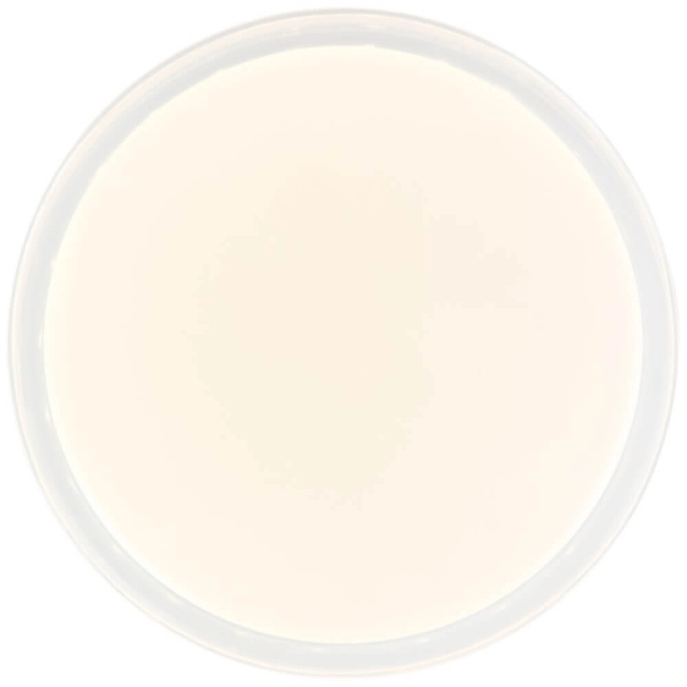 Plafonnier LED Leanna dimmable avec Tuya Brilliant 4004353379925